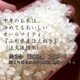 2025ǯϤ2ơۥդƥΥ٥ƥ Ϥ̤ դ Ϥ ǯ 