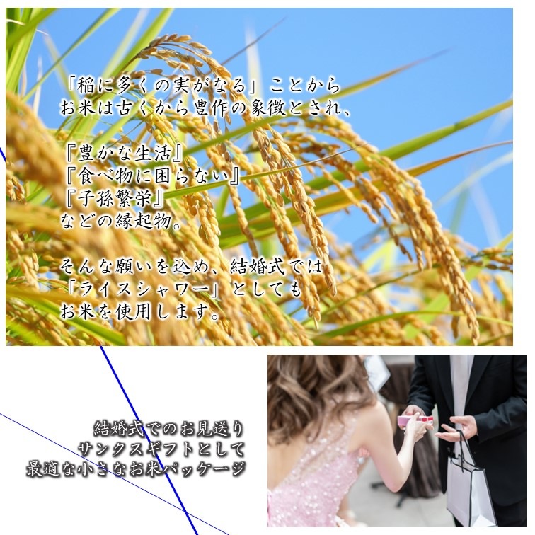 ��̾����2���ơ۲���̾���줪�ƥץ����ե� �����ǥ��� �֥饤����