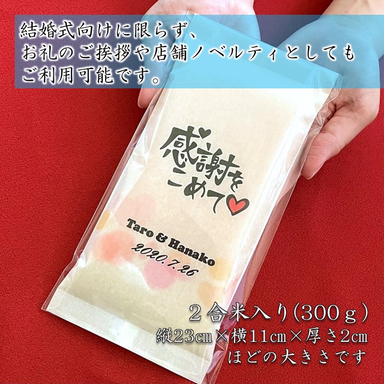 ��̾����2���ơ۲���̾���줪�ƥץ����ե� �����ǥ��� �֥饤����