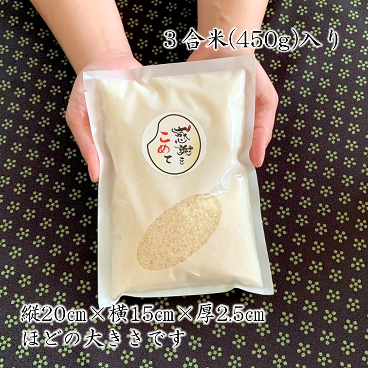 3ơʸƤΥΥ٥ƥʡʥʿ//3硦450g