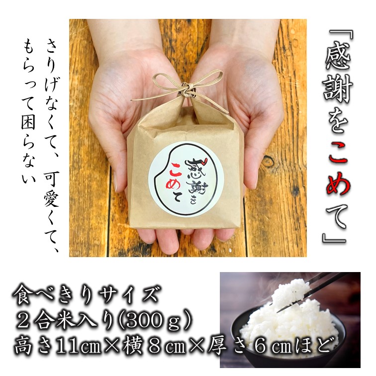 ڤޤȤʡۻ250ġִդ򤳤ơ5 Ϥ̤ 300g 510Ĥķ50 դ 