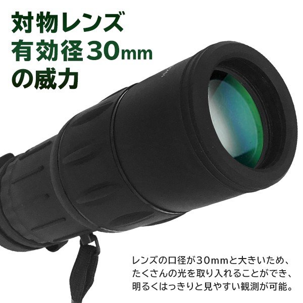 Kenko 単眼鏡 V-TEX 10×30 10倍 30口径 VT-1030M ケンコー 人気機種 大