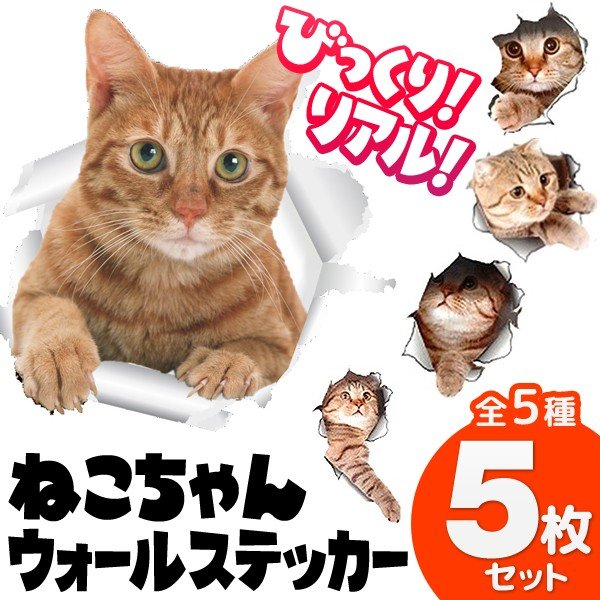 額入り61.0cm 立体壁掛け 仔猫達 （立体画）1154