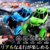 եɥ饸󥫡 ѵ ѥե R/C 饤 եե󥯥  եIX