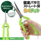 ����Ф��� ������ �����ǥ˥� ��� ¤�� �����ڱ� ���� �� �� ���ڤ� ���å���ǽ�� �� ����餯���祭