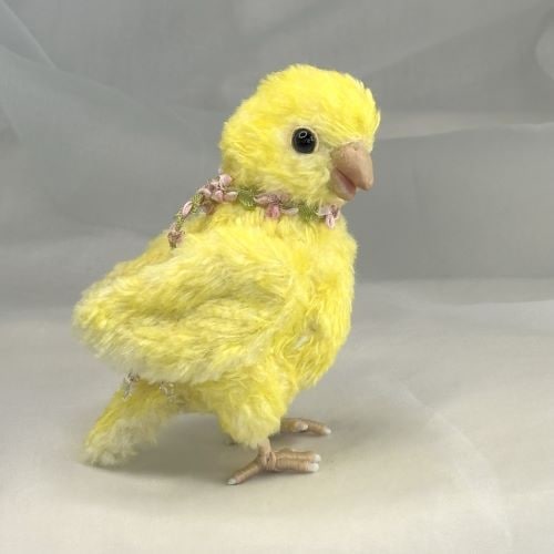 今週のピックアップ