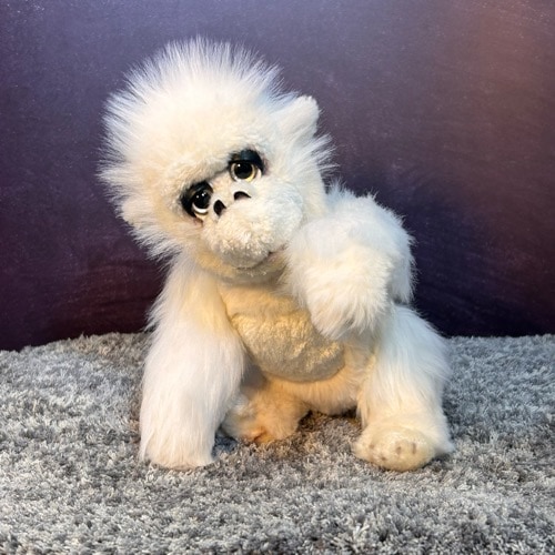 今週のピックアップ