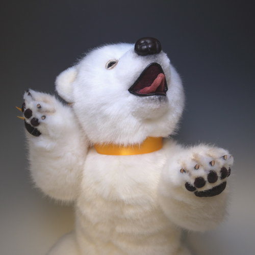 佐藤 真也 シロクマベビー(ケント君) | SoldOut,さ行 | Ritti Bear