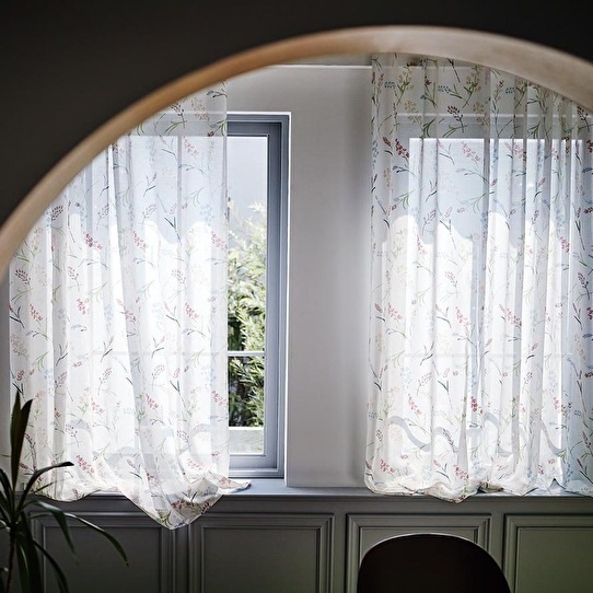 ���֤򻶤�Ф᤿�졼�������ƥ�