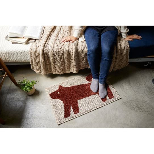 ��������ۤ�����Υޥåȡ����̡�45��70cm