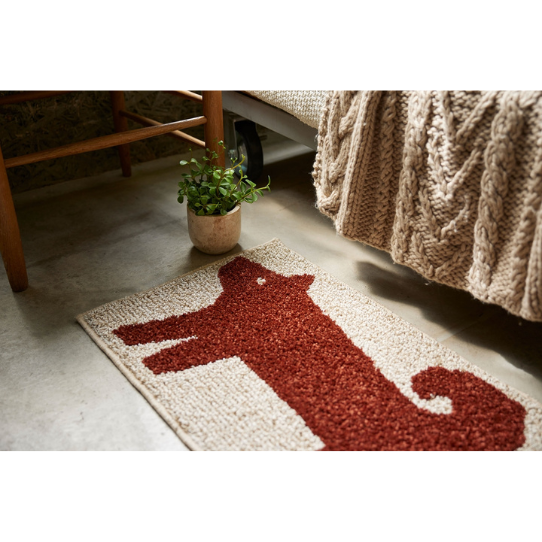 ��������ۤ�����Υޥåȡ����̡�45��70cm