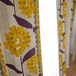 ڤޤءۢƥ󢣥󥵥ȥȥ饤פΥȥʥǥ1.5ܥҥ1ˡKEIRANSASU׸ƥ󡡥ԥ󥯡ù