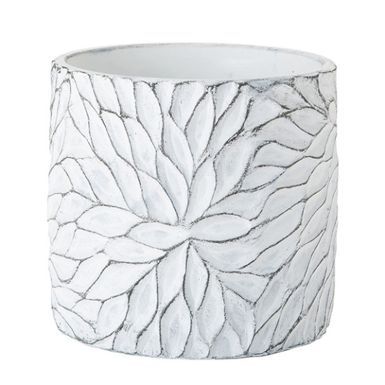 �����ȥ��꡼�󡡥ڥڥ��ߥ��������ȥݥå��դ�