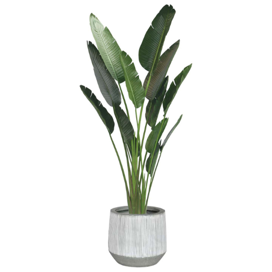 �����ȥ��꡼�󡡥�������������ƫ��ȭ�դ���