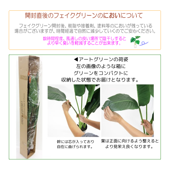 �����ȥ��꡼�󡡥������졼�ס���ƫ��ȭ�դ���