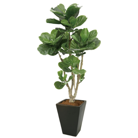 �����ȥ��꡼�󡡥�����Х���Υ�����ƫ��ȭ�դ���