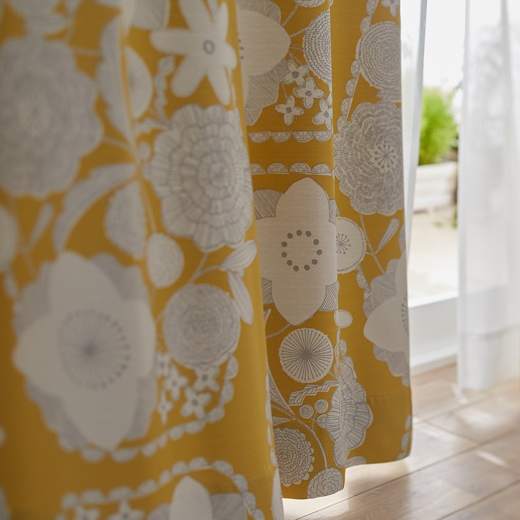 񤭤Τ֤ѡץȤɽIHANAʥϥʡˡ׸ƥ󡡥졼ְù