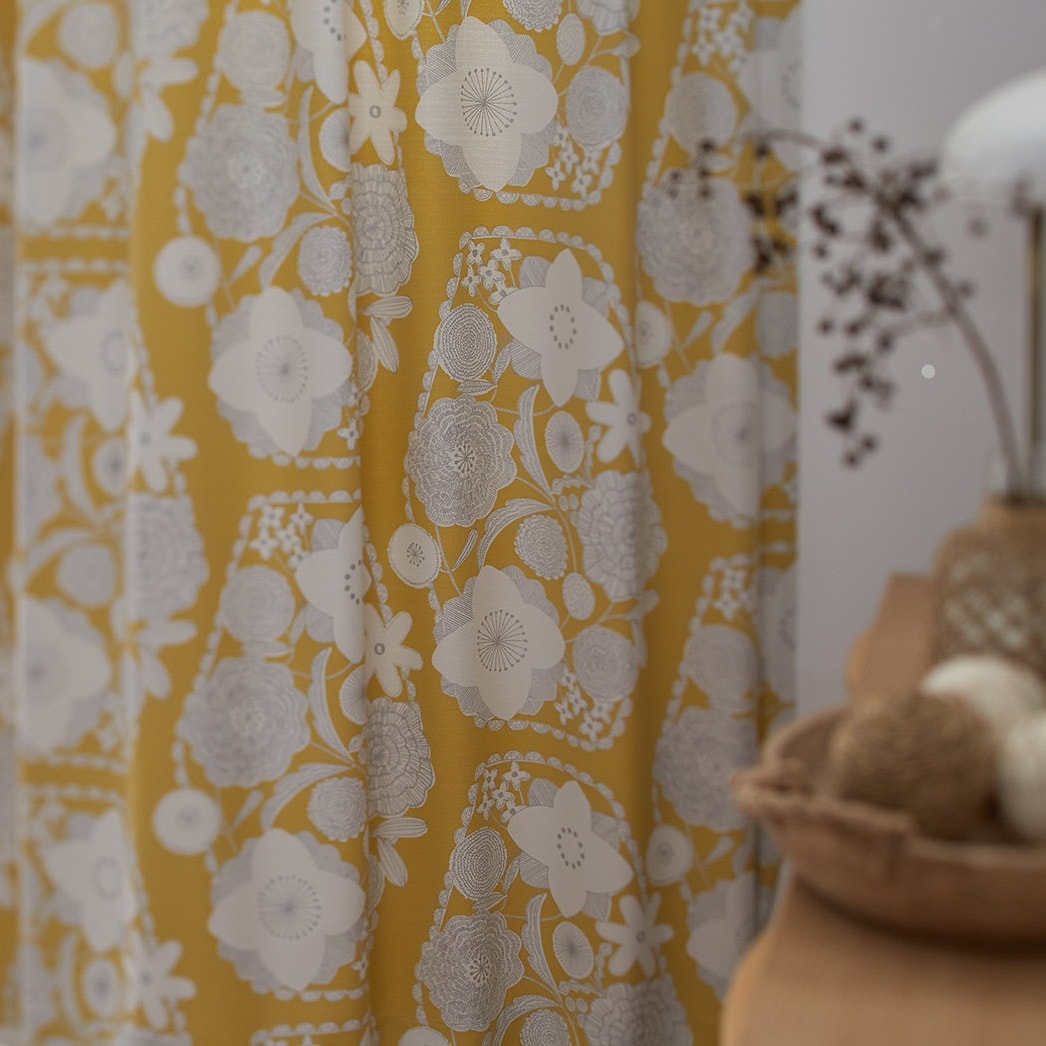 񤭤Τ֤ѡץȤɽIHANAʥϥʡˡ׸ƥ󡡥졼ְù