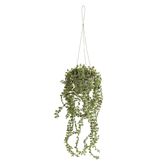 �����ȥ��꡼�󡡥磻�䡼�ץ��ġ��ϥ󥮥�