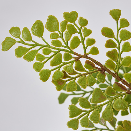 �����ȥ��꡼�󡡥������󥿥ࡡ�ݥå��դ�