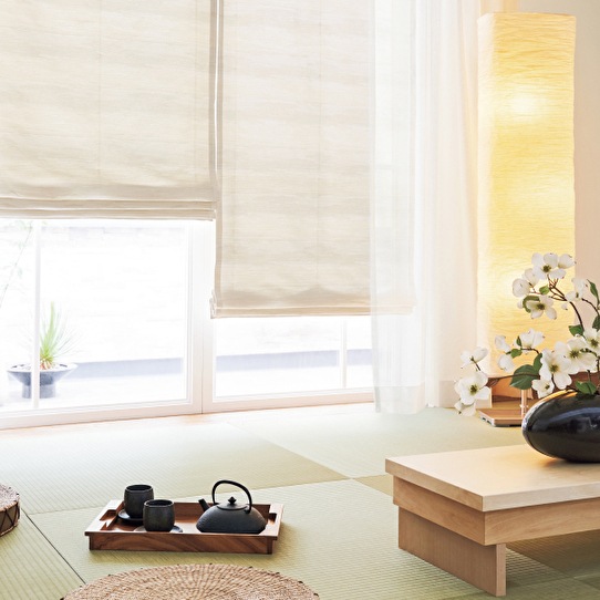 ɤʥǤȤɱ굡ǽե졼ƥ