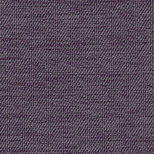 ǥ㡼פʤˡ׸1ɥ졼ץƥ