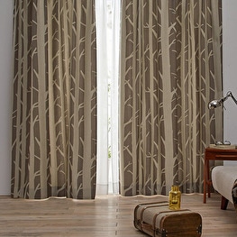 ���Ϥ���ȩ�˸�Ω�Ƥ�����ץ�ʥǥ����󡡡�SHIRAKABA�����׸������ƥ󡡥��졼�����ְ���ù���