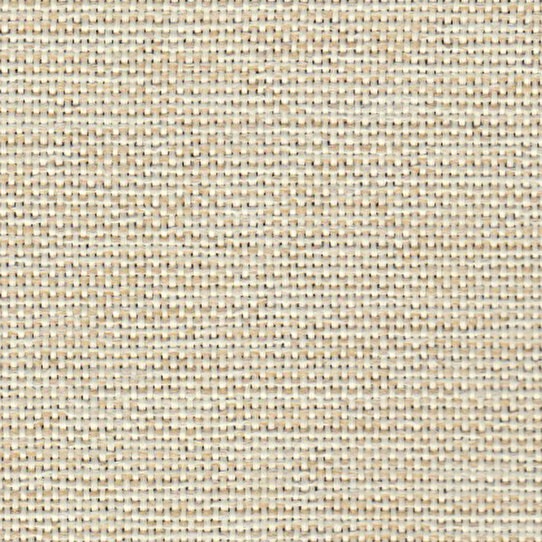 ڹΥʥǺശ졡׸1ɥ졼ץƥ