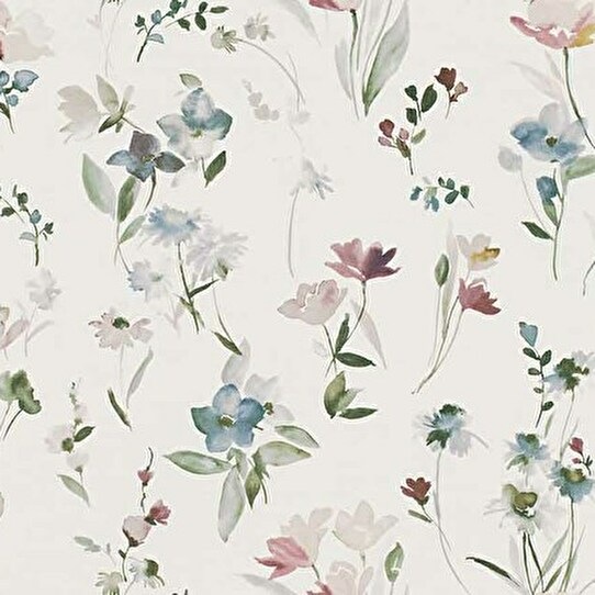 ̥åβ֡ڤ䤫ʥɥ졼ץƥ