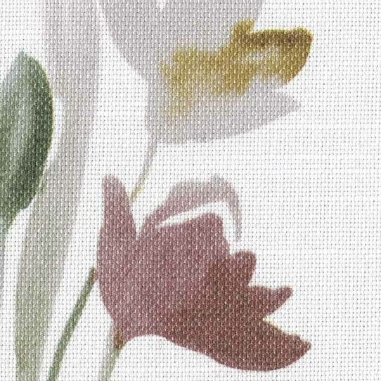 ̥åβ֡ڤ䤫ʥɥ졼ץƥ