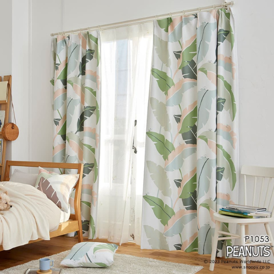 ڤޤءۢƥ󢣥ܡ˾륹̡ԡΥǥ󥫡ƥ󡡼׸2顡1.5ܥҥ1ˡù