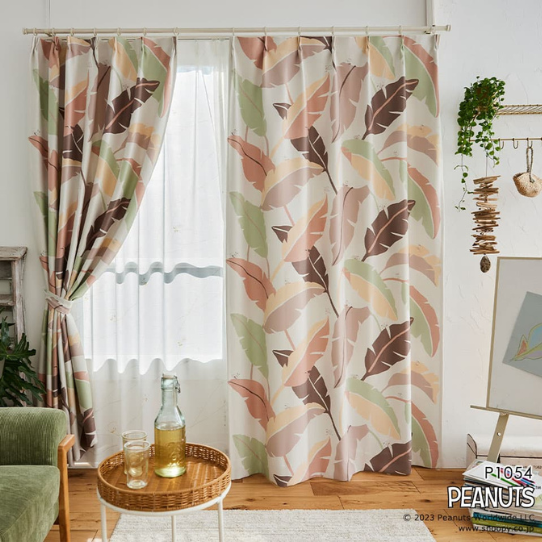 ڤޤءۢƥ󢣥ܡ˾륹̡ԡΥǥ󥫡ƥ󡡼׸2顡1.5ܥҥ1ˡù