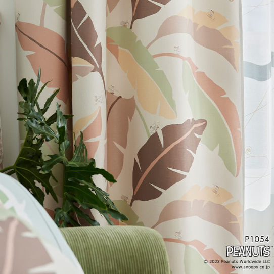 ڤޤءۢƥ󢣥ܡ˾륹̡ԡΥǥ󥫡ƥ󡡼׸2顡1.5ܥҥ1ˡù