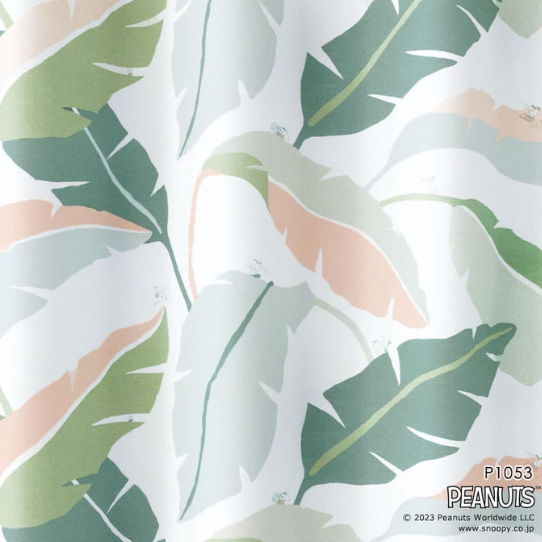 ڤޤءۢƥ󢣥ܡ˾륹̡ԡΥǥ󥫡ƥ󡡼׸2顡1.5ܥҥ1ˡù