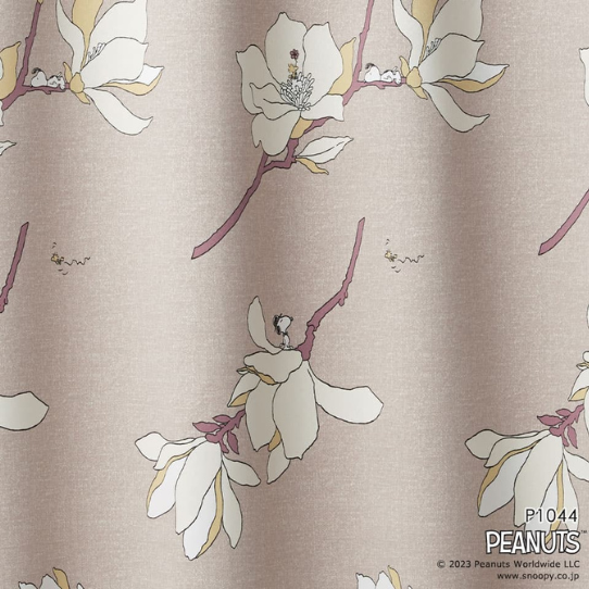 �ڤ��ޤ��ءۢ����������ƥ󢣥��̡��ԡ��ȥ��åɥ��ȥå��Ȳ֤Υ��쥬��Ȥʥ����ƥ󡡼׸�2�顡1.5�ܥҥ���1������ˡ����������ù���