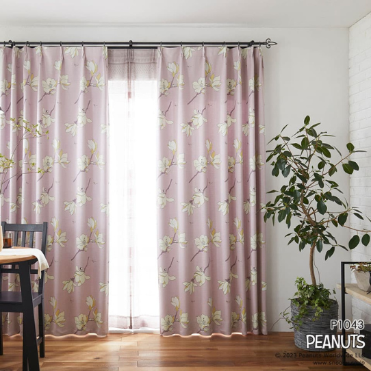 �ڤ��ޤ��ءۢ����������ƥ󢣥��̡��ԡ��ȥ��åɥ��ȥå��Ȳ֤Υ��쥬��Ȥʥ����ƥ󡡼׸�2�顡1.5�ܥҥ���1������ˡ����������ù���