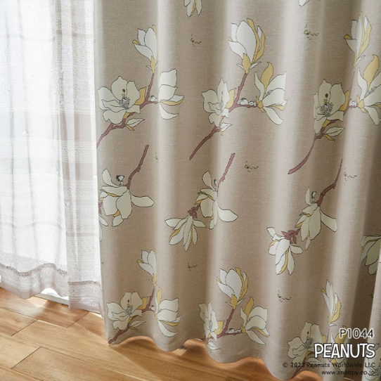 �ڤ��ޤ��ءۢ����������ƥ󢣥��̡��ԡ��ȥ��åɥ��ȥå��Ȳ֤Υ��쥬��Ȥʥ����ƥ󡡼׸�2�顡1.5�ܥҥ���1������ˡ����������ù���