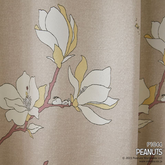 �ڤ��ޤ��ءۢ����������ƥ󢣥��̡��ԡ��ȥ��åɥ��ȥå��Ȳ֤Υ��쥬��Ȥʥ����ƥ󡡼׸�2�顡1.5�ܥҥ���1������ˡ����������ù���