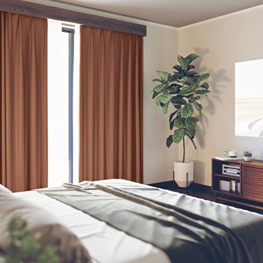 쥶Τ褦ʼΥɥ졼ץƥ󡡼׸1顪