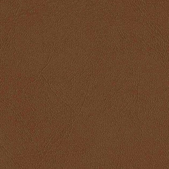 쥶Τ褦ʼΥɥ졼ץƥ󡡼׸1顪