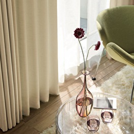 ڤޤءۢƥ󢣡׸1顪ץʥץ졼󥿥פΥƥ1.5ܥҥ1ˡù