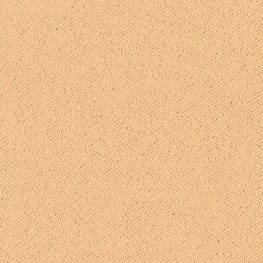 ڤޤءۢƥ󢣡׸1顪ץʥץ졼󥿥פΥƥ1.5ܥҥ1ˡù