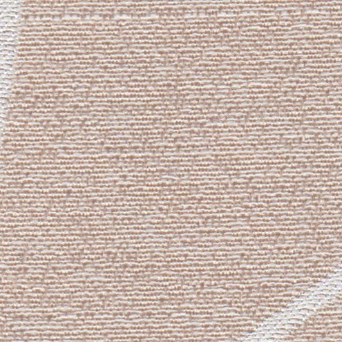 Ӥ䤫ʶ̥ʥɥ졼ץƥ