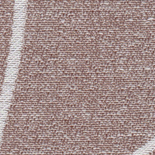 Ӥ䤫ʶ̥ʥɥ졼ץƥ