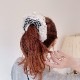 奷 Embroidery Lace