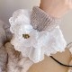 奷 Embroidery Lace