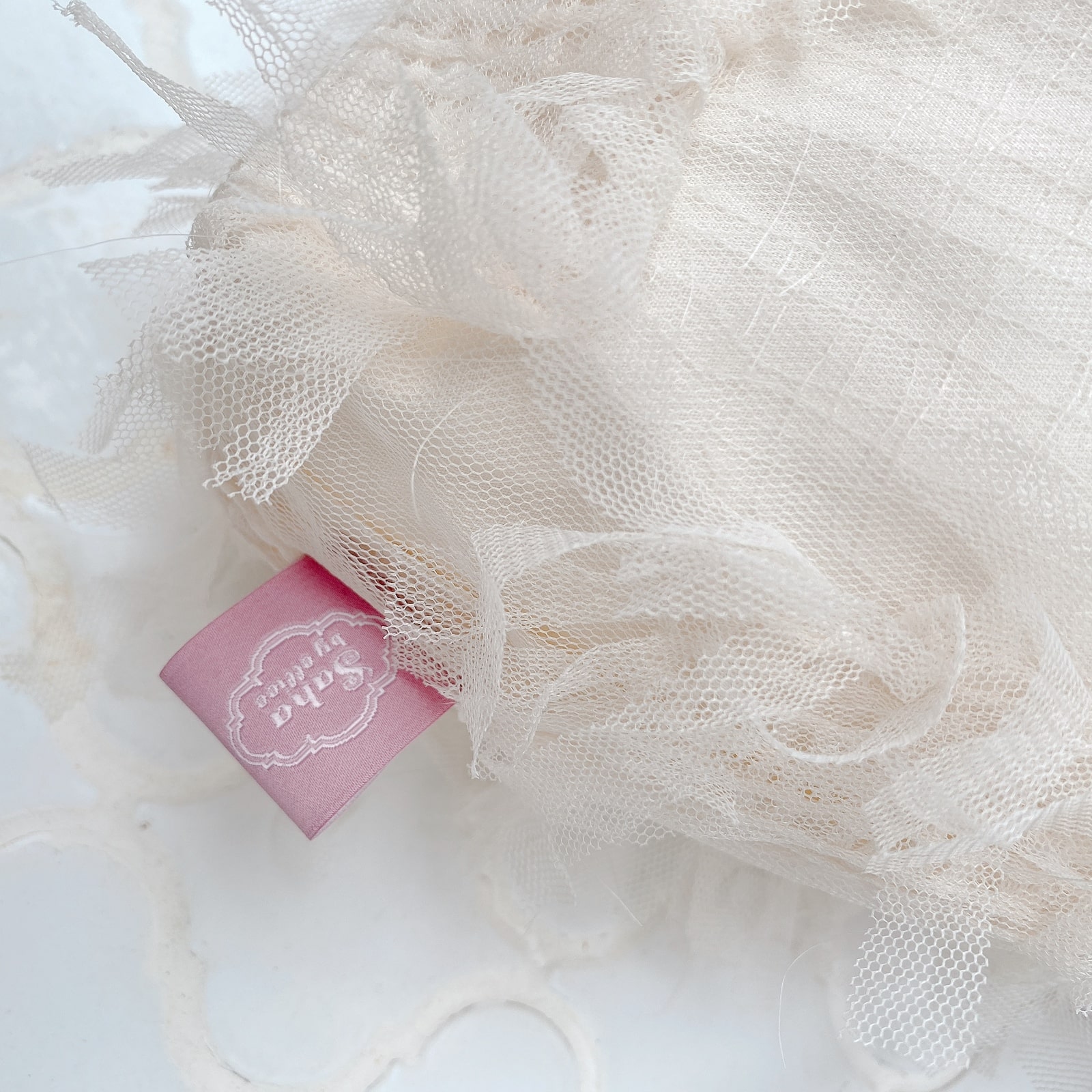 ����Хå� Sea Anemone