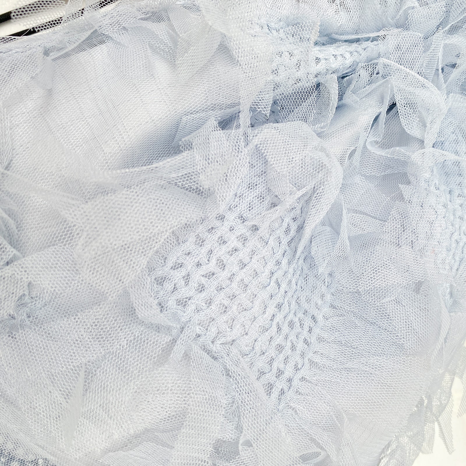 ����Хå� Sea Anemone