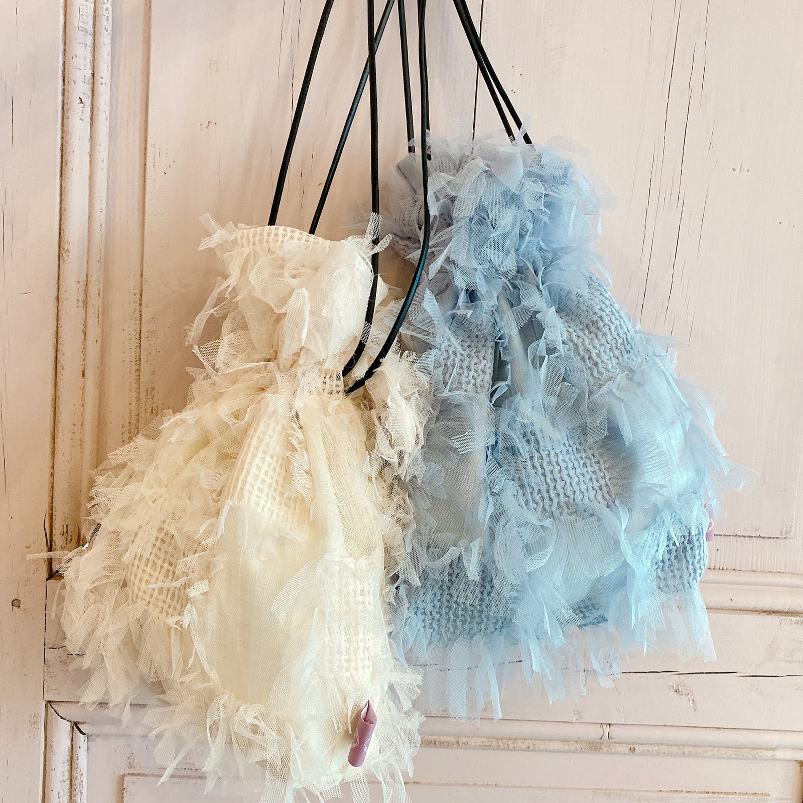 ����Хå� Sea Anemone