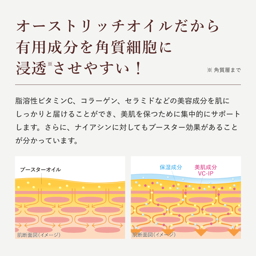 SPEEDIA ޥ饹֡ 17ml (30ʬ) 1